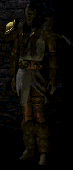 cliquez ici pour tout savoir sur Le druide