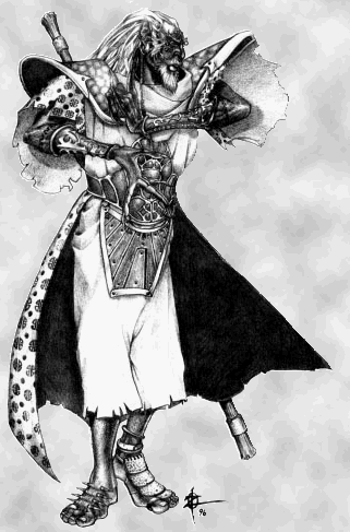 Sorcier